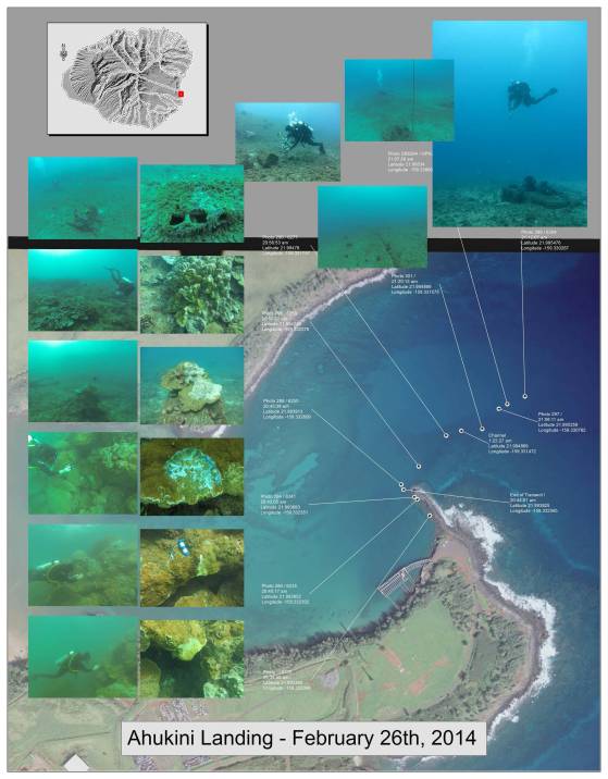 map of scuba diving surveys showing pictures of coral reef