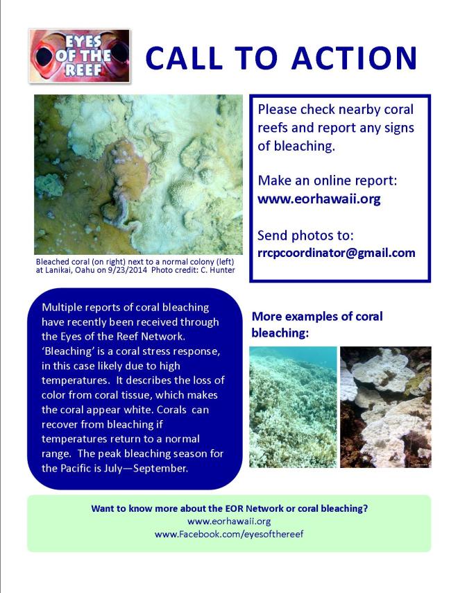 bleaching_call to action_9.25.2014